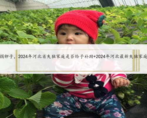 河北医院捐卵子，2024年河北省失独家庭是否给予补助 2024年河北最新失独家庭补