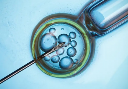 试管婴儿打几次排卵针，试管婴儿打排卵针要打几天