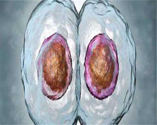 山东代怀代生移植囊胚第三抽血hcg是642孕酮105