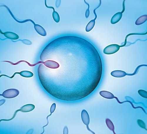 2026重庆第三代试管婴儿生男孩排名最好的医院？