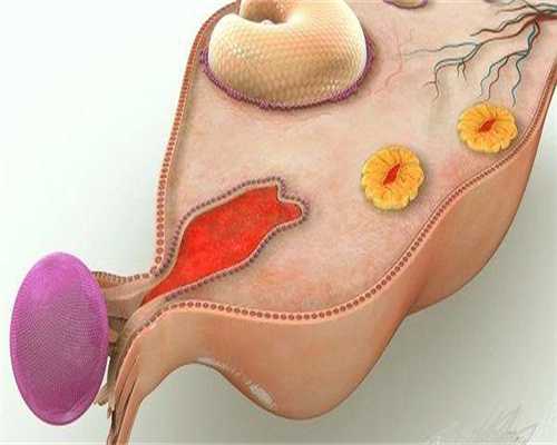 找人代生孩子:辅助生殖移植后多久能洗澡？