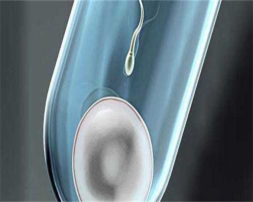 代生宝宝包性别_助孕包成功哪里有,孕期必做的检查 怀孕检查必须要空腹吗