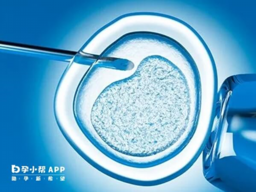 重庆试管婴儿多少钱明细表？重庆试管婴儿的流程是什么样