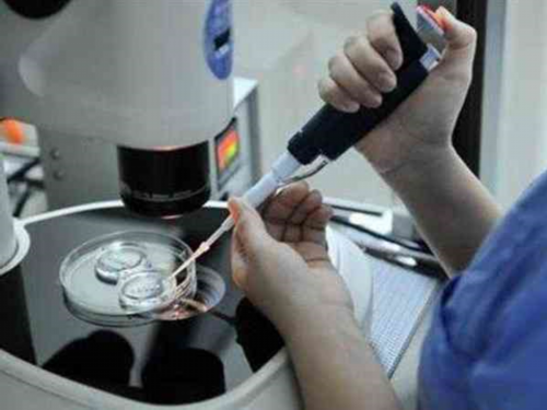 代生小男孩:孕妇能不能吃胡椒猪肚