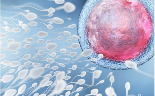 重庆做三代试管要多少钱