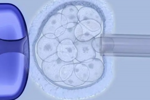 重庆三代试管私立医院能做嘛重庆三代试管医院需要什么证件？多少钱一次呀！