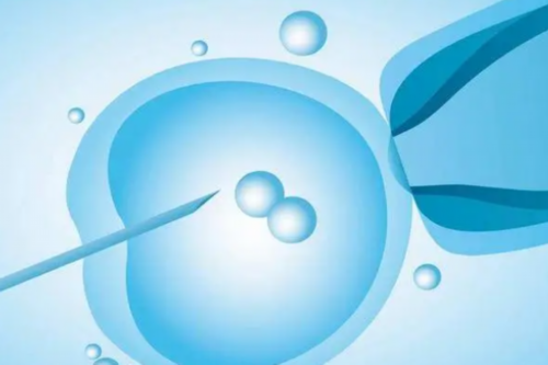 <strong>代怀小孩价格:移植11天白板有咖啡色分泌物</strong>