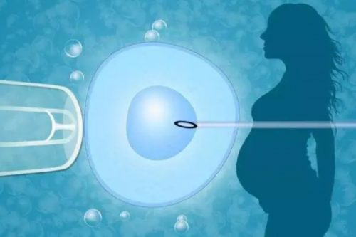 53岁高龄女性做私人代怀生子机构成功率多少？成功率的高低取决私人代怀生子