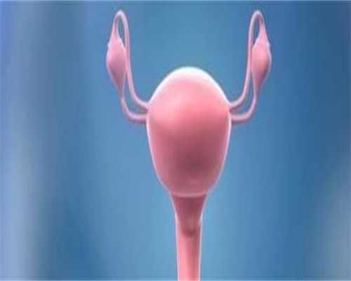 
              泉州妇幼保健院二代代生双胞胎单精子注射费用高吗？
