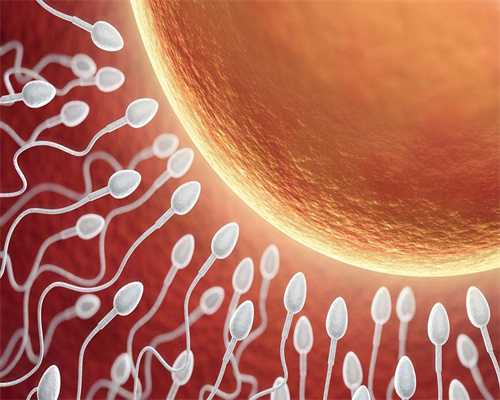 日本国外供卵代生机构男孩费用标准怎么算(日本国外供卵代生机构成功率有多