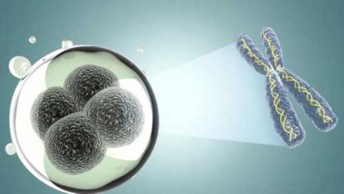 一文带你看完重庆做试管婴儿费用明细？重庆做试管婴儿需多少钱？