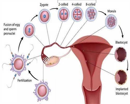 重庆沙坪坝有没有做第三代试管婴儿的医院？重庆做第三代试管婴儿最好的医院
