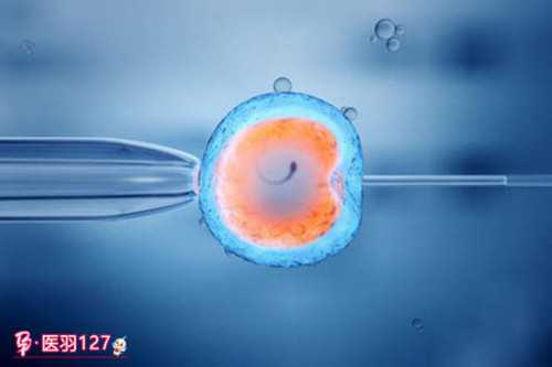 国内借卵生子医院_试管代孕供卵费用,试管移植着床什么情况下会早产