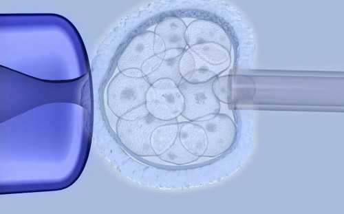国内助孕医院地址_南方代孕中心,一招辨别孕期怀双胞胎的迹象，医院好吗？